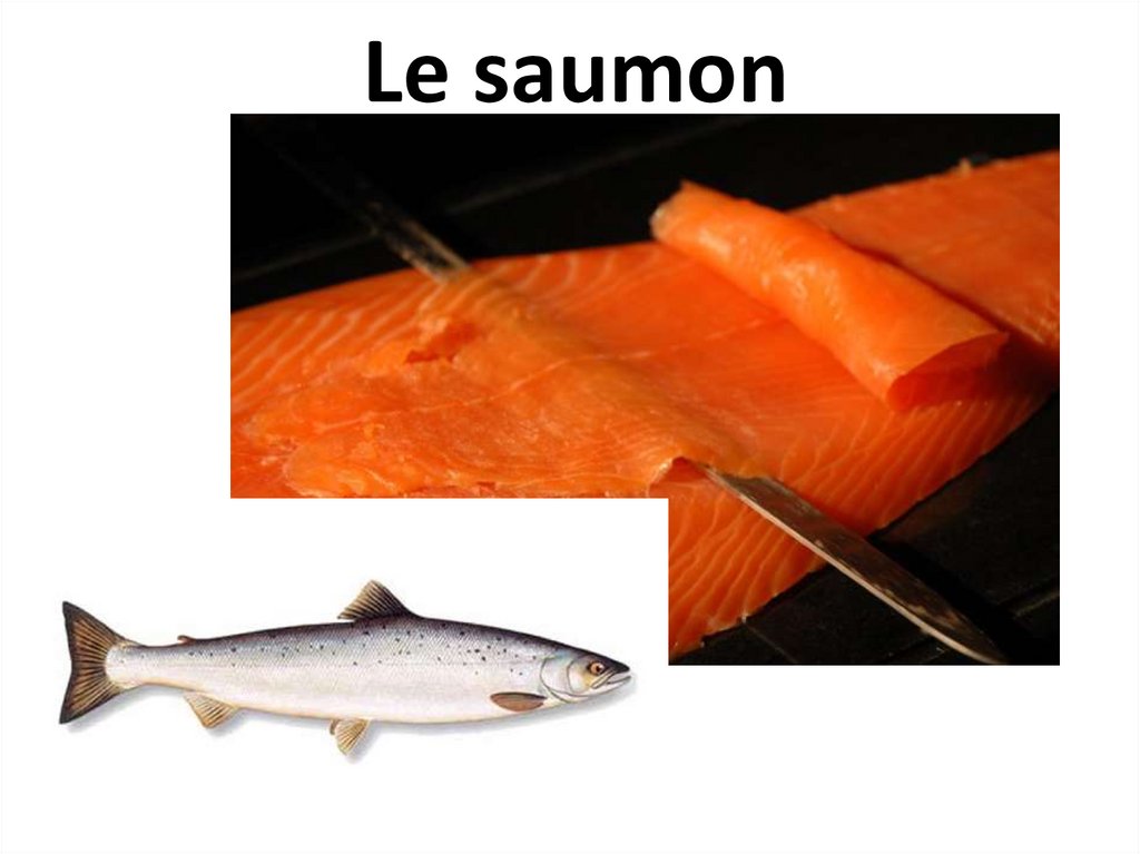 Le saumon