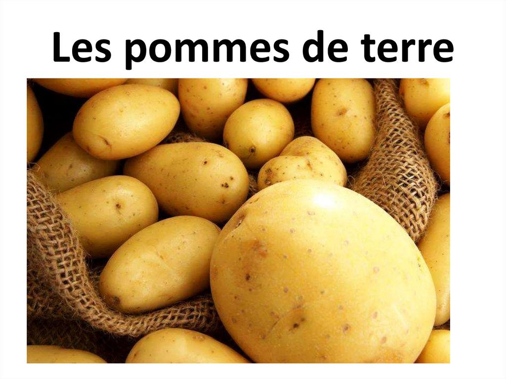 Les pommes de terre