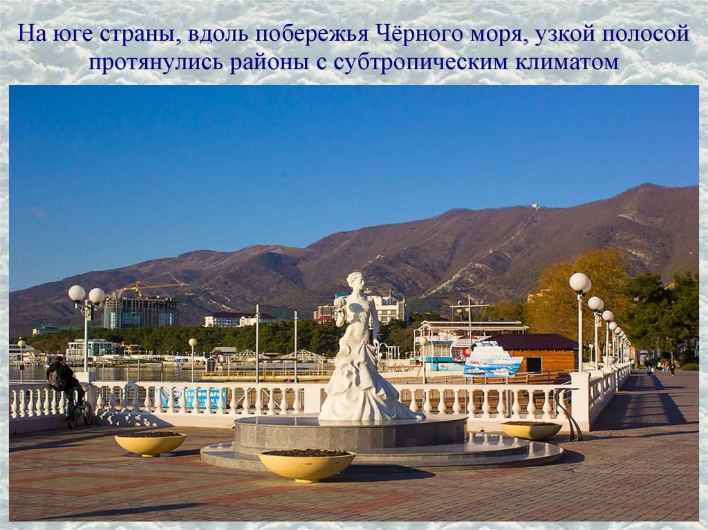 На юге страны, вдоль побережья Чёрного моря, узкой полосой протянулись районы с субтропическим климатом