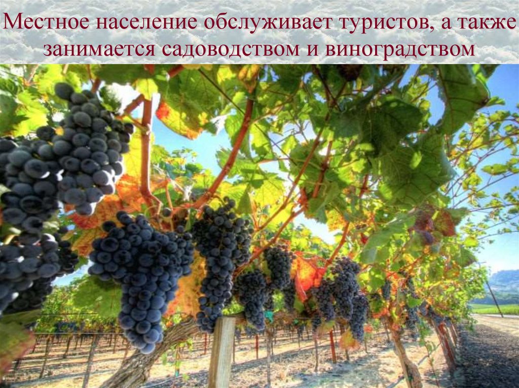 Местное население обслуживает туристов, а также занимается садоводством и виноградством