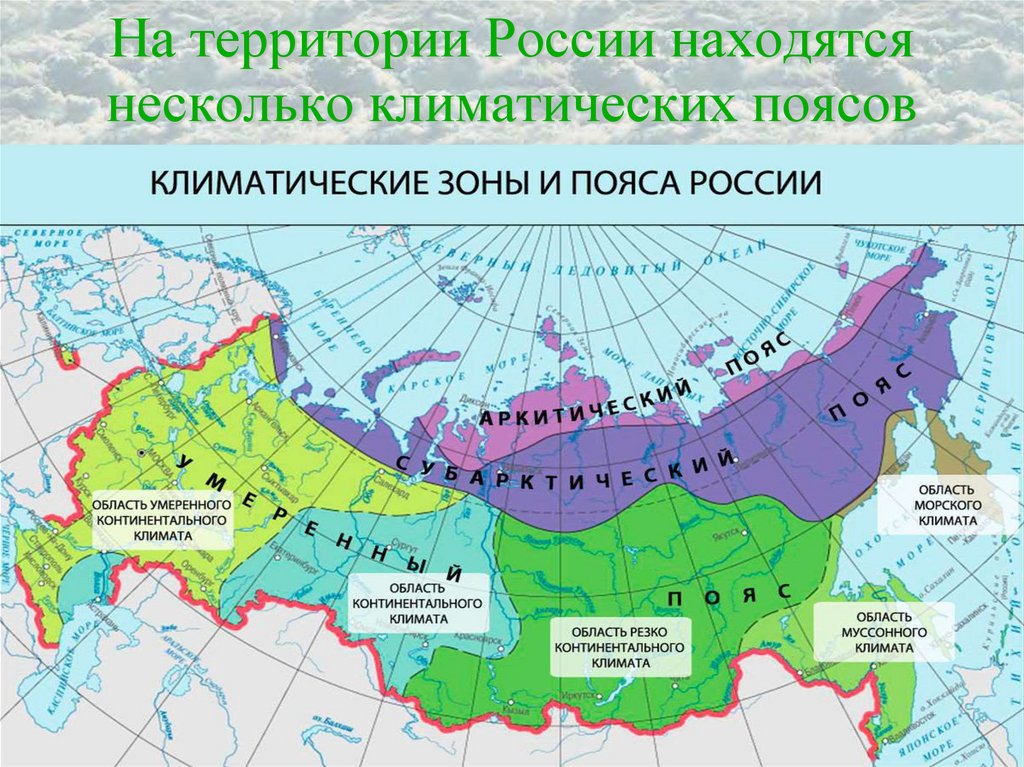 На территории России находятся несколько климатических поясов
