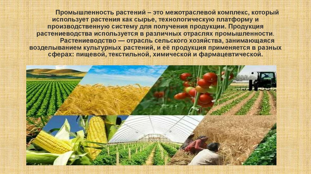 Промышленность растений – это межотраслевой комплекс, который использует растения как сырье, технологическую платформу и