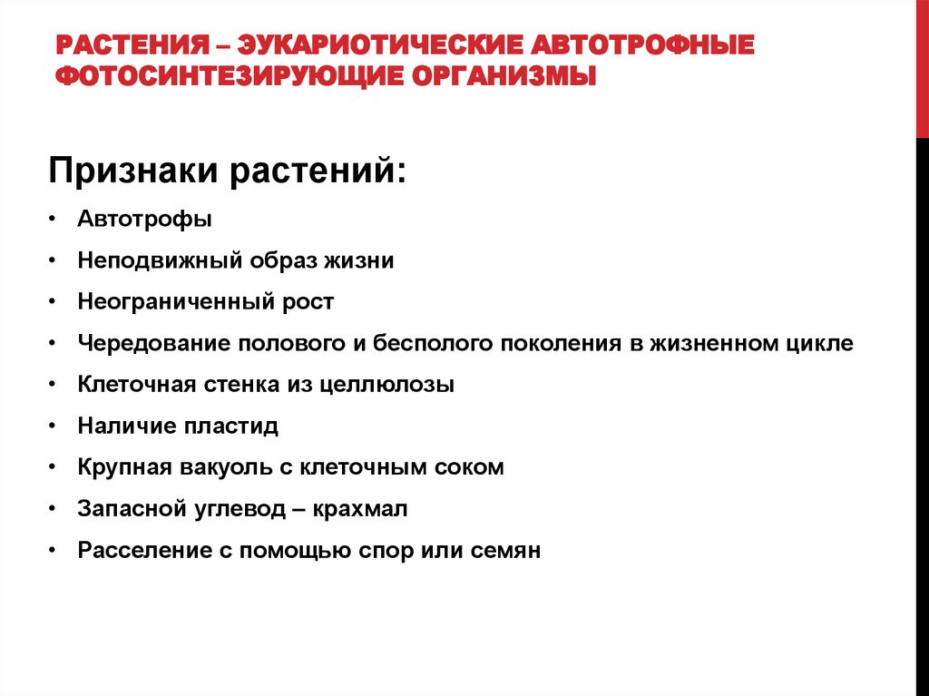 Растения – эукариотические автотрофные фотосинтезирующие организмы