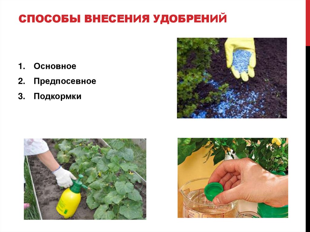 СПОСОБЫ ВНЕСЕНИЯ УдобрениЙ