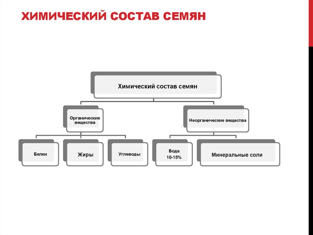 ХИМИЧЕСКИЙ СОСТАВ СЕМЯН