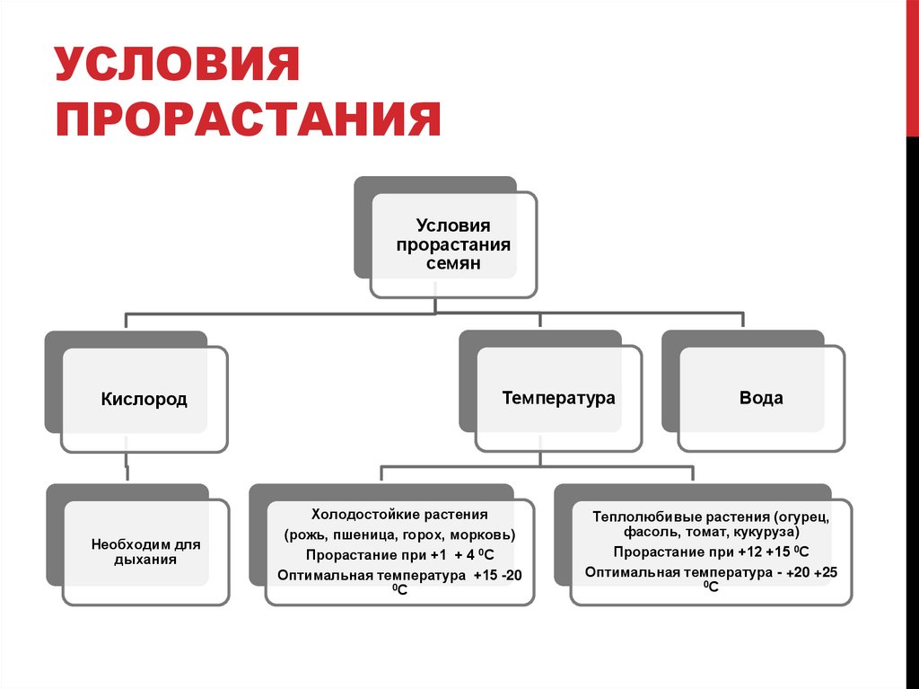 УСЛОВИЯ ПРОРАСТАНИЯ