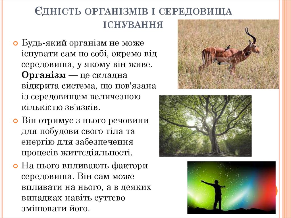 Єдність організмів і середовища існування