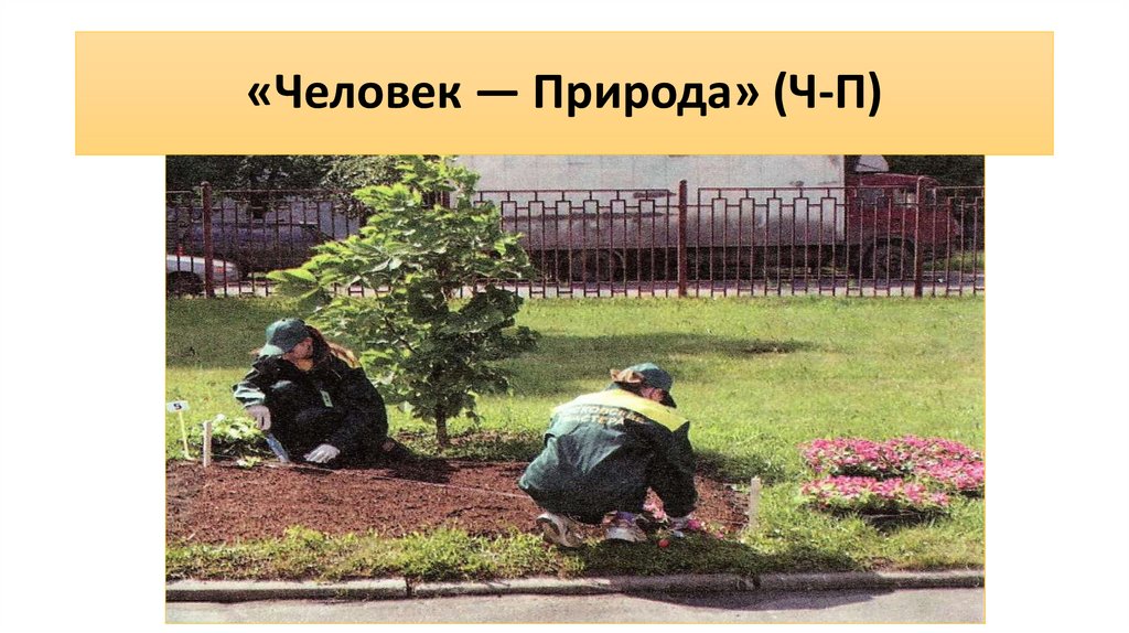 «Человек — Природа» (Ч-П)