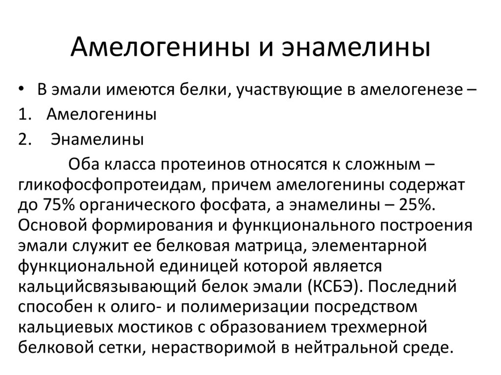 Амелогенины и энамелины