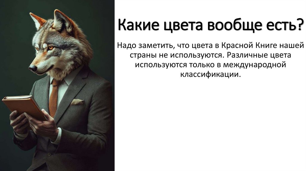 Какие цвета вообще есть?