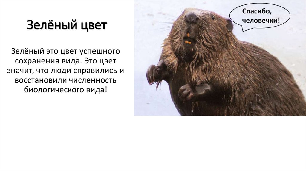 Зелёный цвет