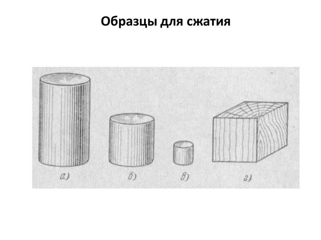 Образцы для сжатия