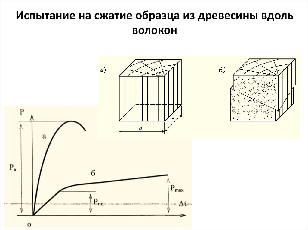 Испытание на сжатие образца из древесины вдоль волокон