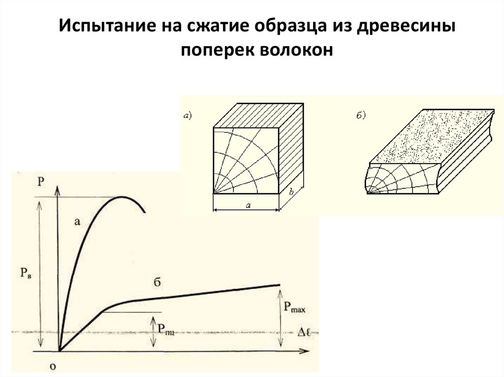 Испытание на сжатие образца из древесины поперек волокон
