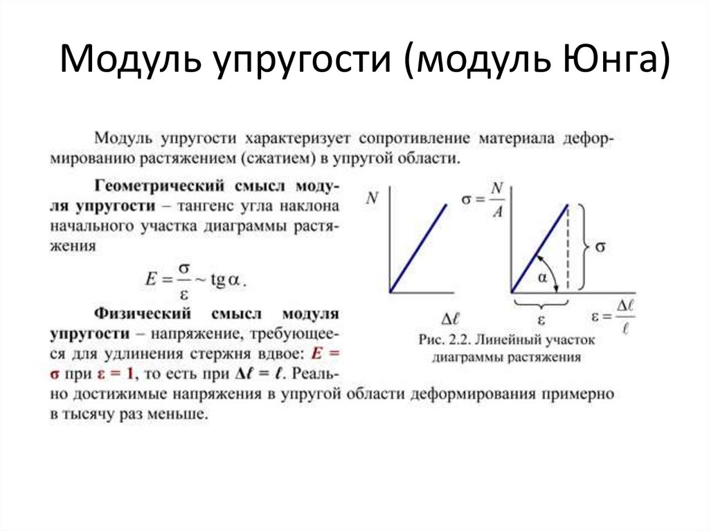 Модуль упругости (модуль Юнга)