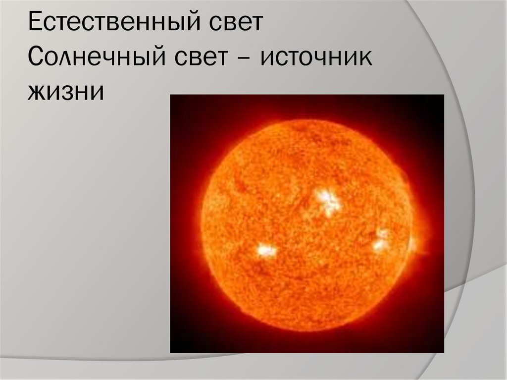Естественный свет Солнечный свет – источник жизни