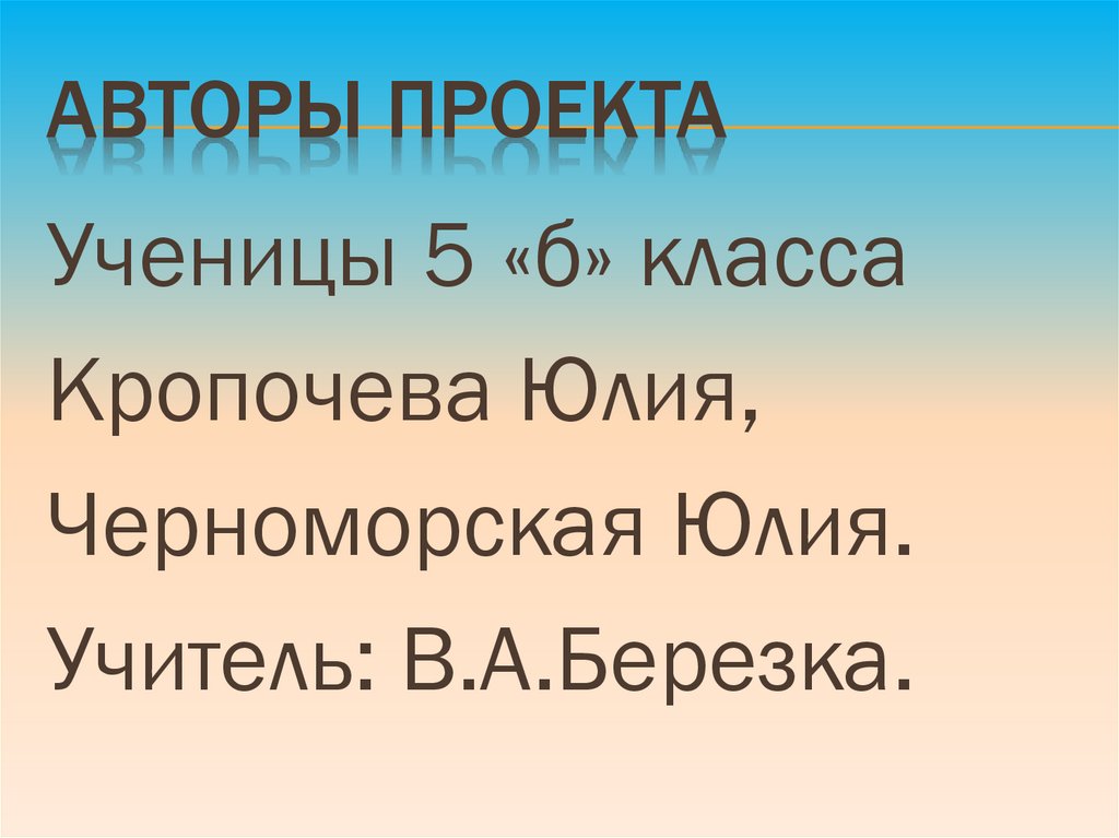 Авторы проекта