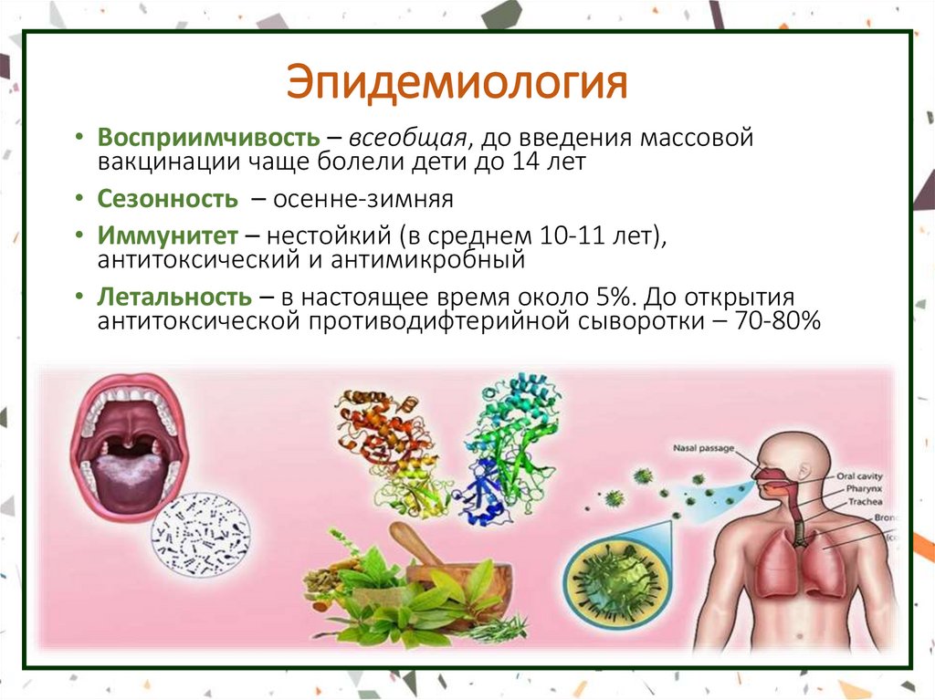 Эпидемиология