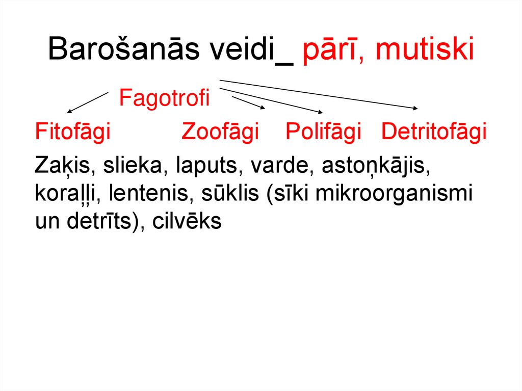 Barošanās veidi_ pārī, mutiski