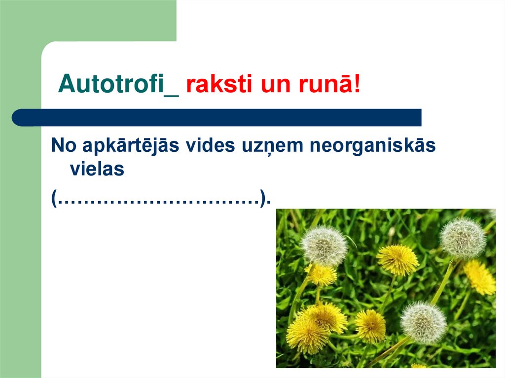 Autotrofi_ raksti un runā!
