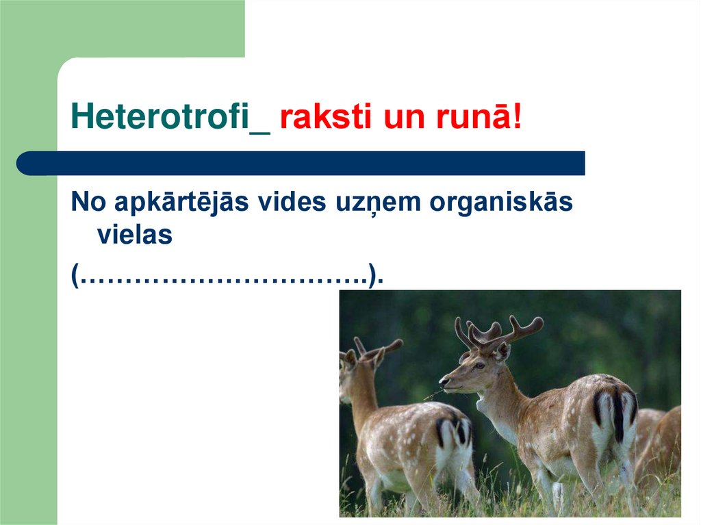 Heterotrofi_ raksti un runā!