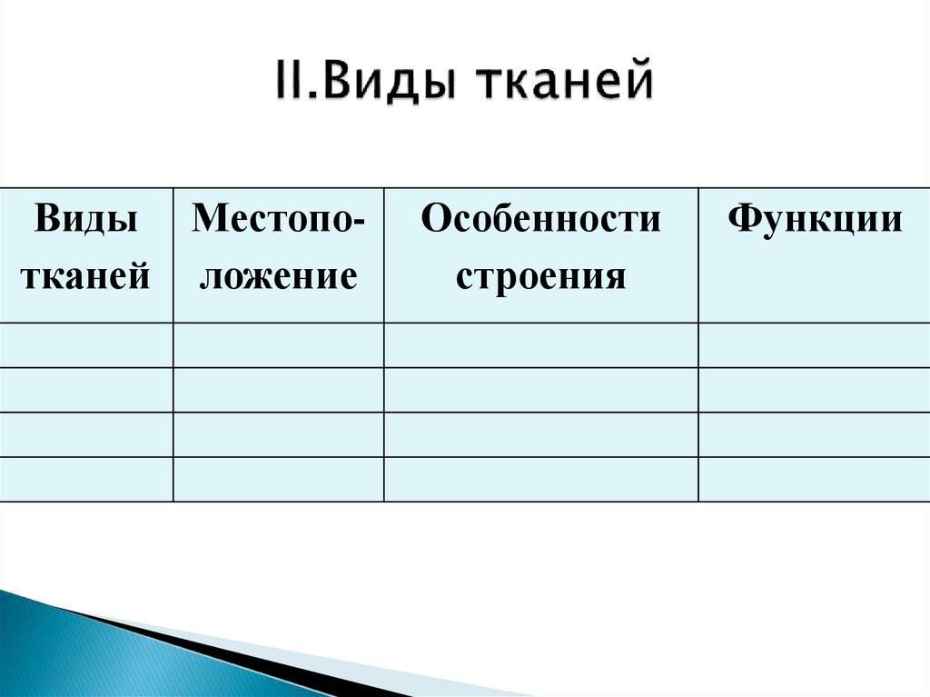 II.Виды тканей