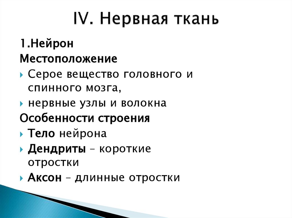 IV. Нервная ткань