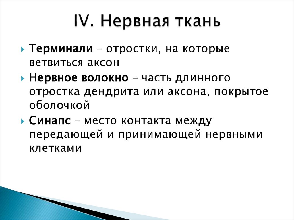 IV. Нервная ткань