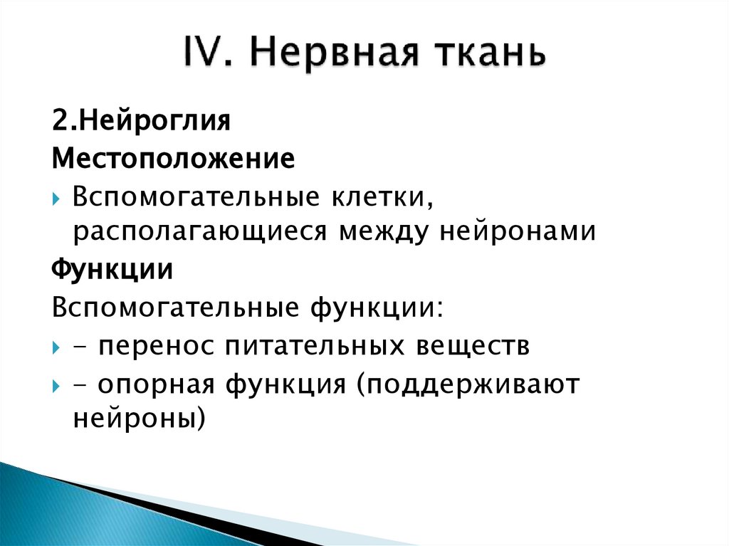 IV. Нервная ткань