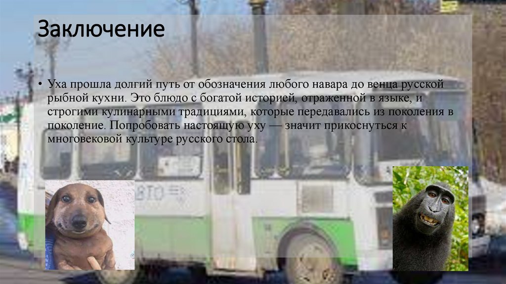 Заключение