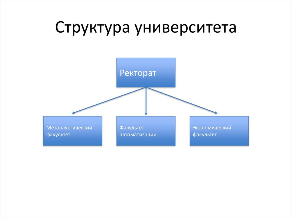 Структура университета