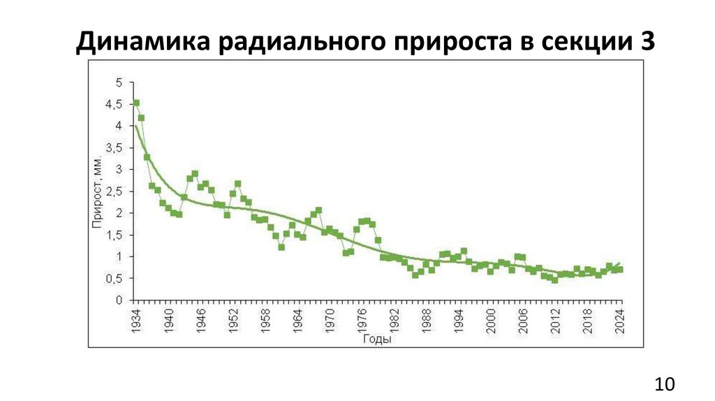 Динамика радиального прироста в секции 3