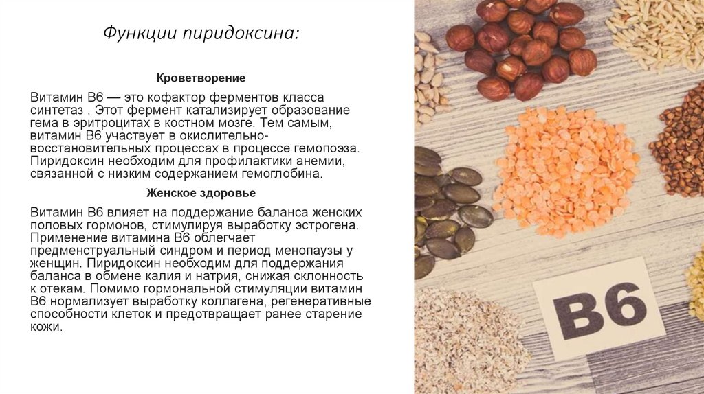 Функции пиридоксина: