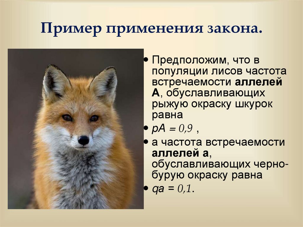 Пример применения закона.