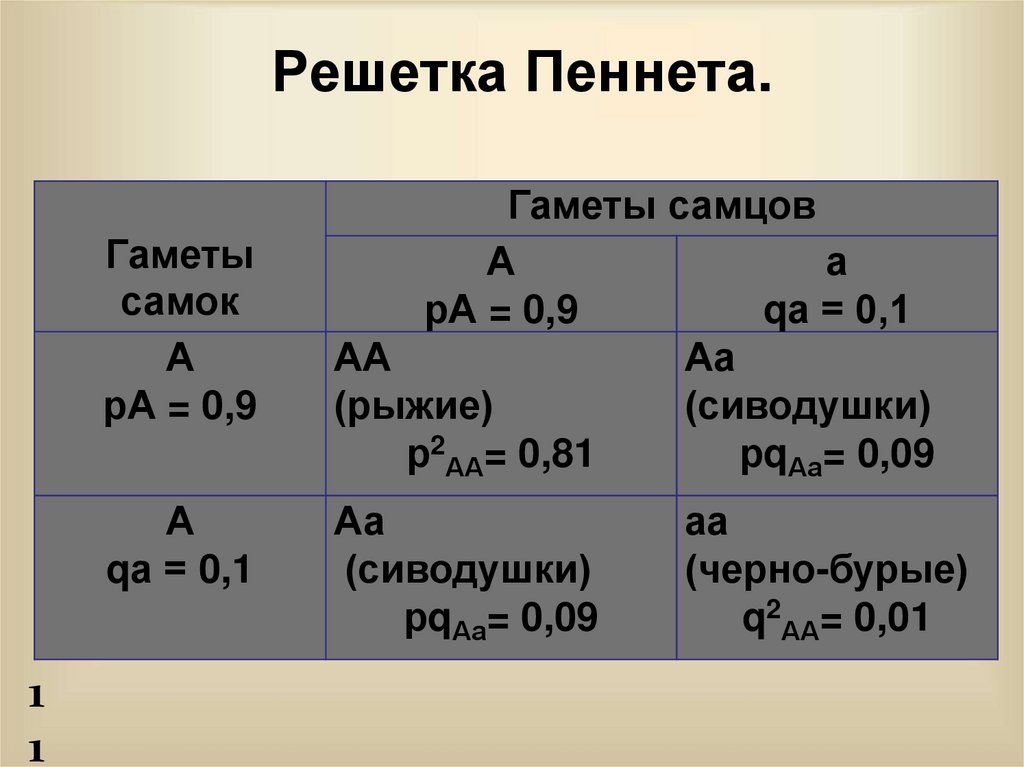 Решетка Пеннета.