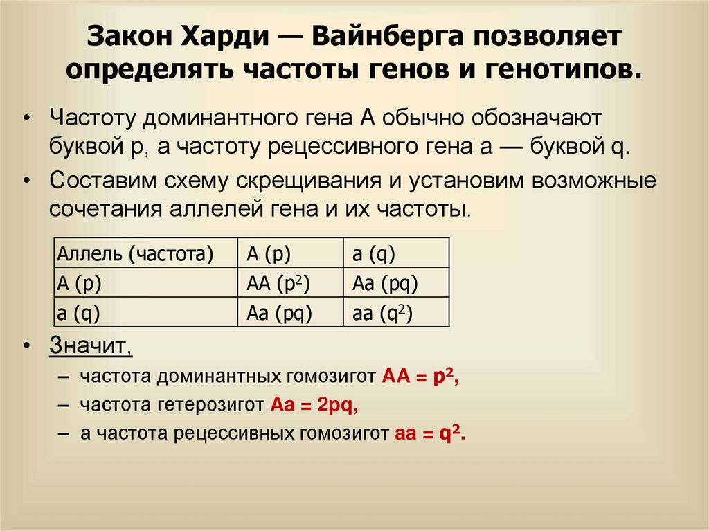 Закон Харди — Вайнберга позволяет определять частоты генов и генотипов.