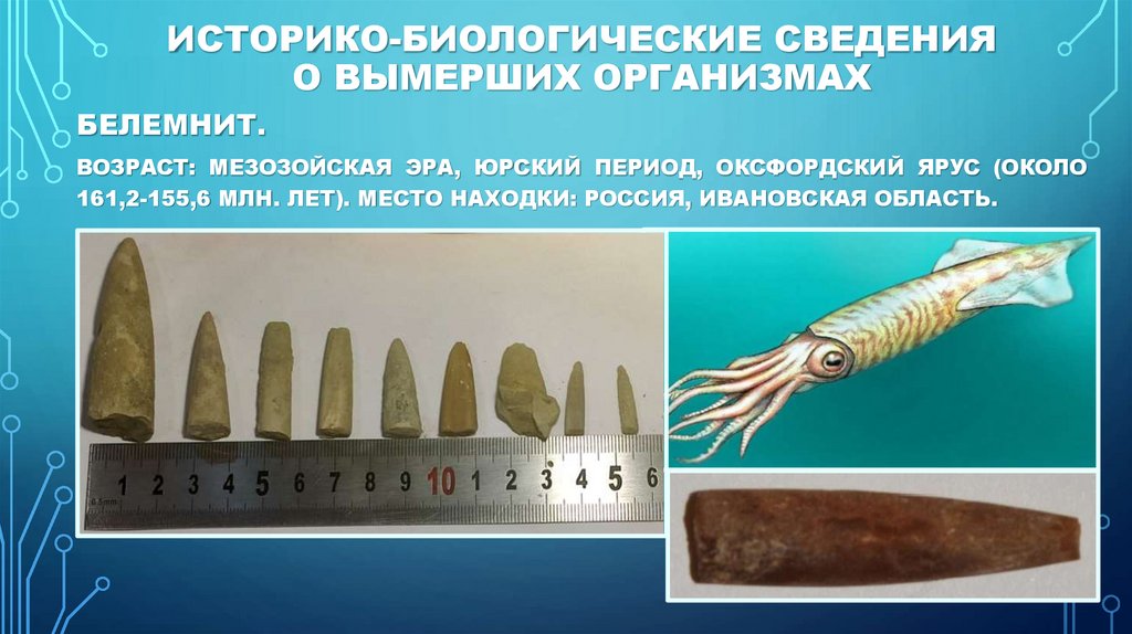 Историко-биологические сведения о вымерших организмах