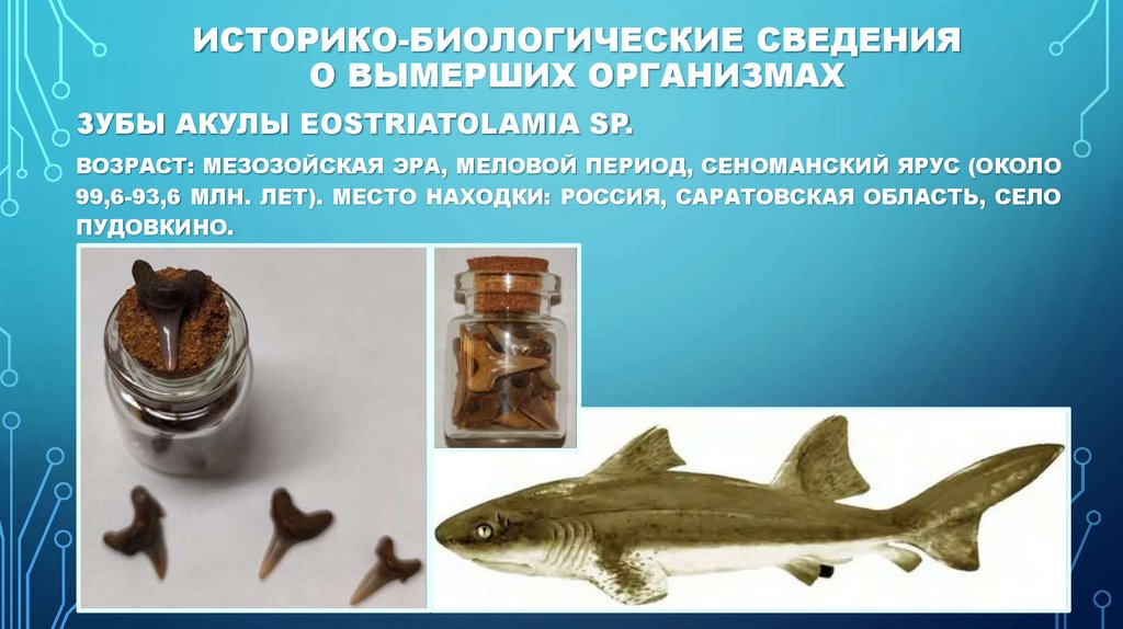 Историко-биологические сведения о вымерших организмах