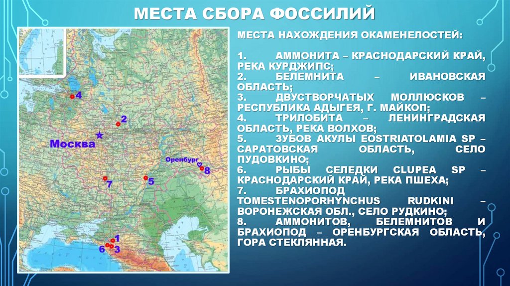 Места сбора фоссилий