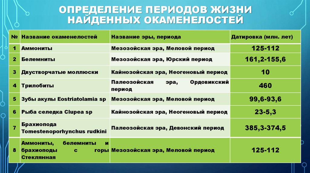 Определение периодов жизни найденных окаменелостей
