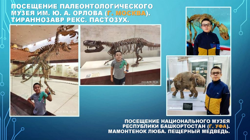 Посещение Национального музея Республики Башкортостан (г. Уфа). Мамонтенок Люба. Пещерный медведь.