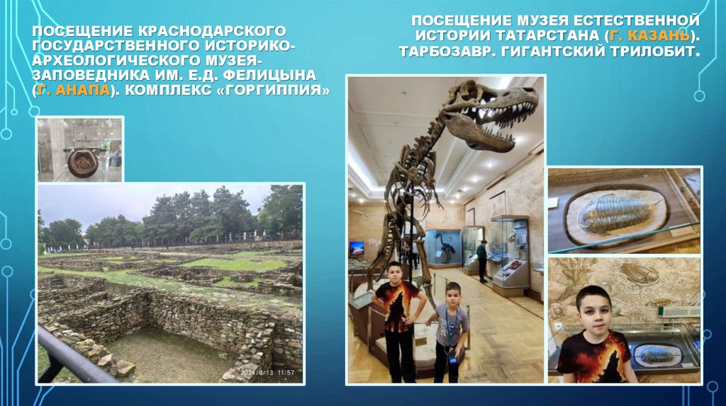 Посещение музея естественной истории Татарстана (г. Казань). Тарбозавр. Гигантский трилобит.