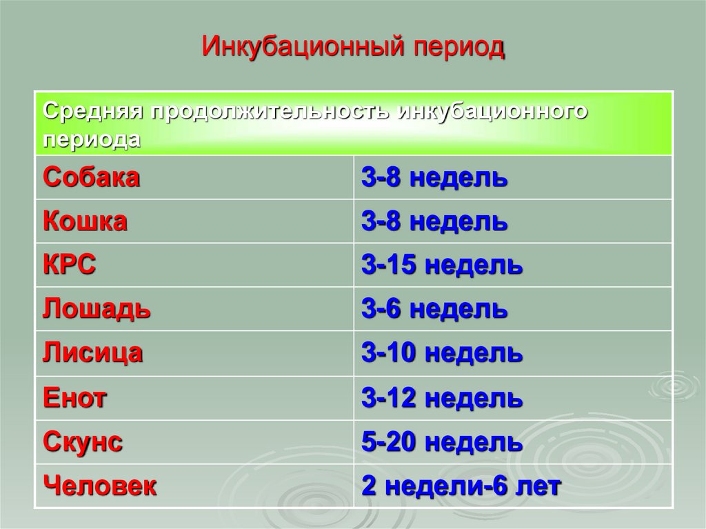 Инкубационный период