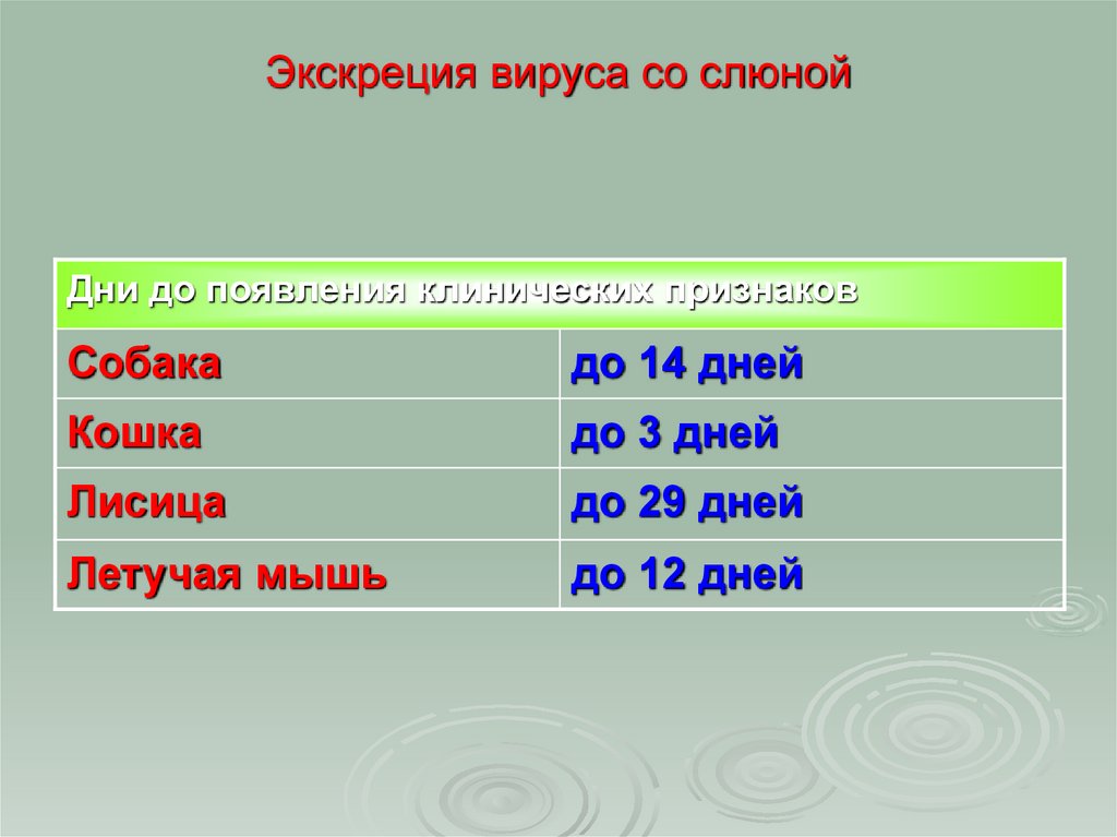 Экскреция вируса со слюной