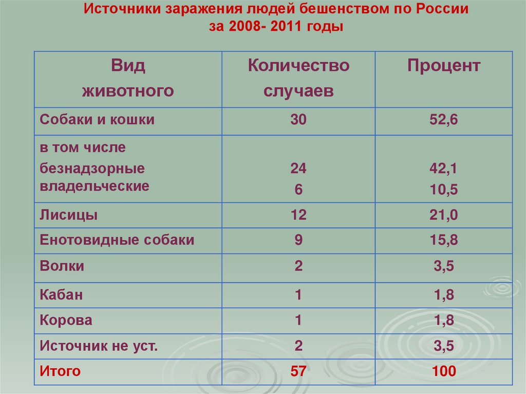 Источники заражения людей бешенством по России за 2008- 2011 годы
