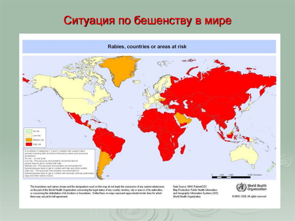 Ситуация по бешенству в мире