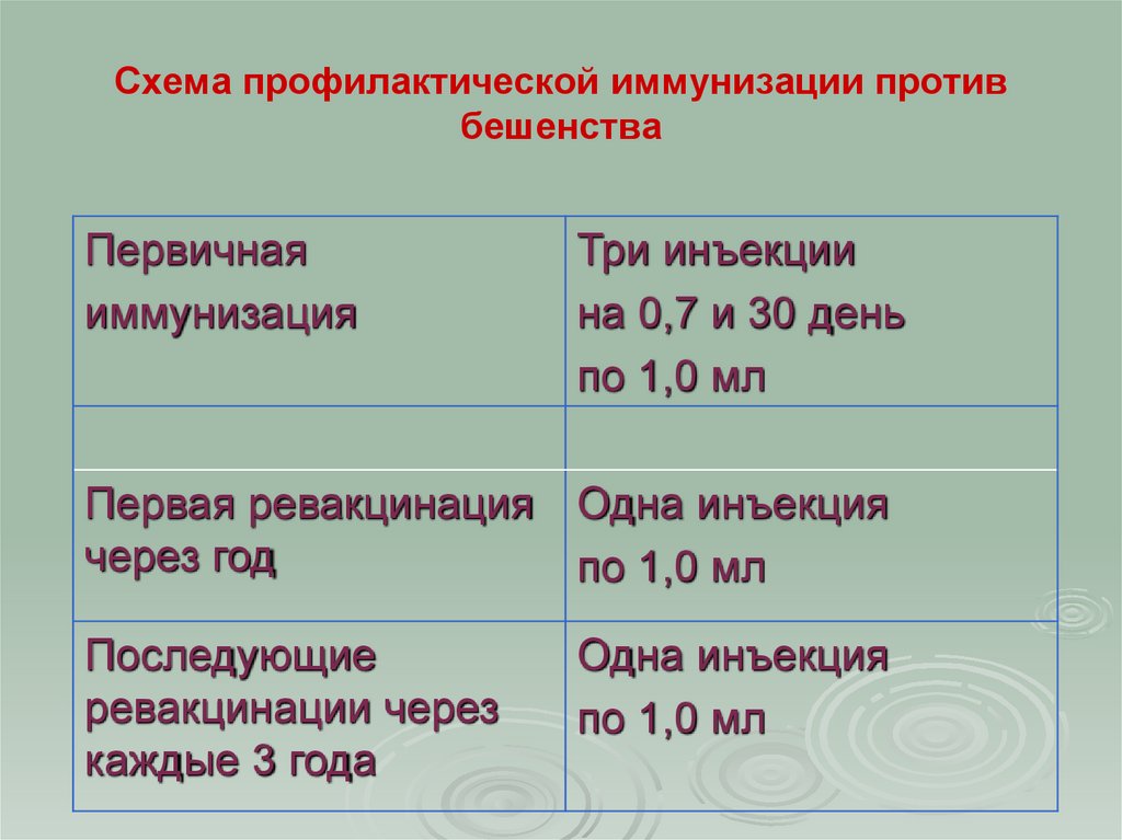 Схема профилактической иммунизации против бешенства