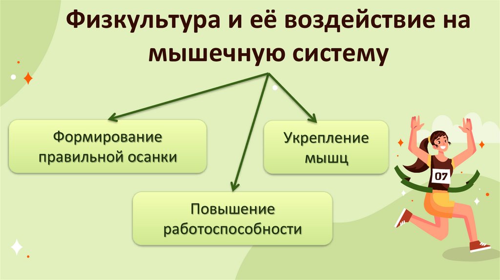 Физкультура и её воздействие на мышечную систему