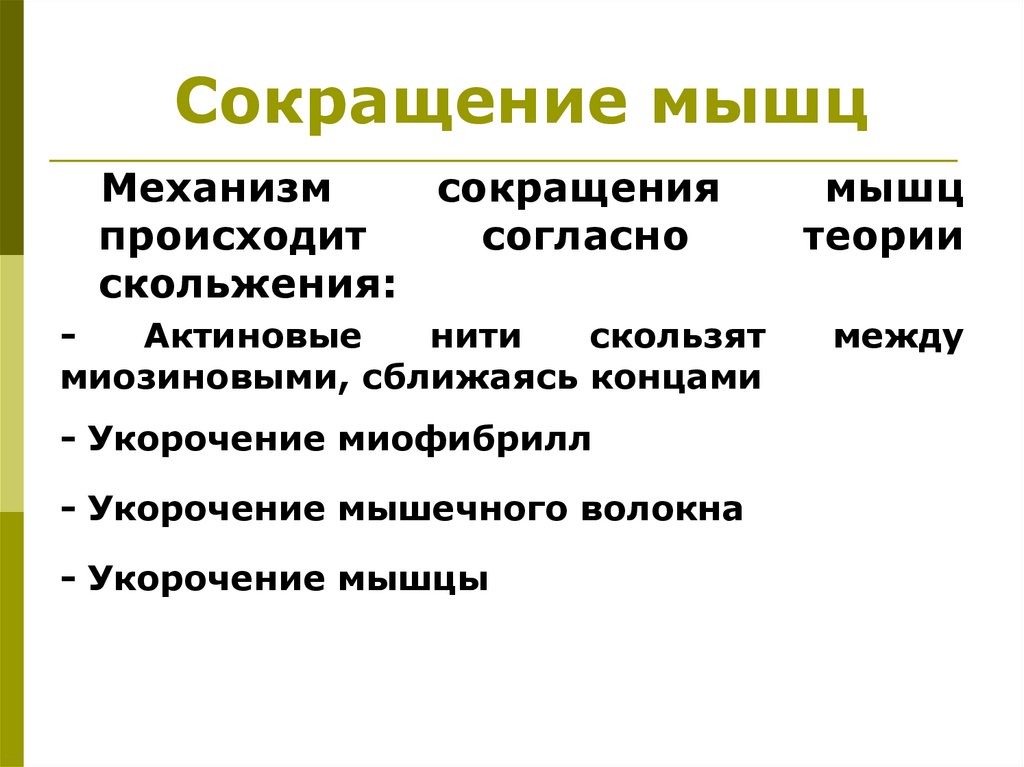 Сокращение мышц