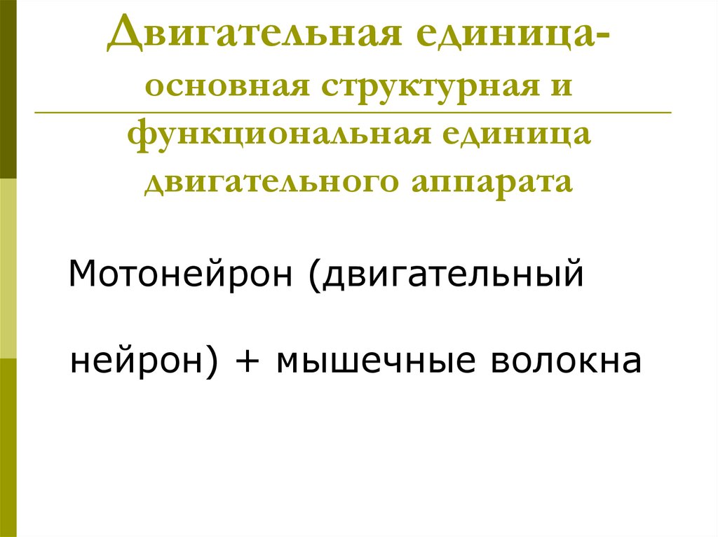 Двигательная единица- основная структурная и функциональная единица двигательного аппарата